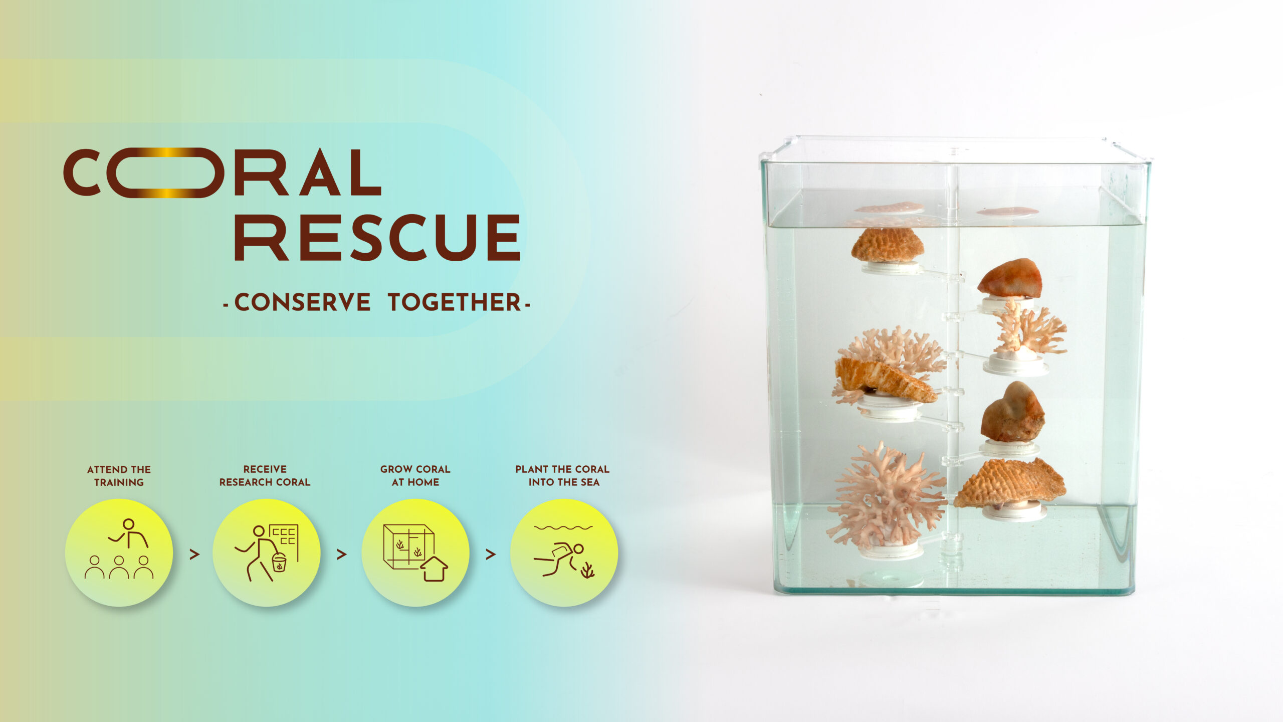 coral rescue